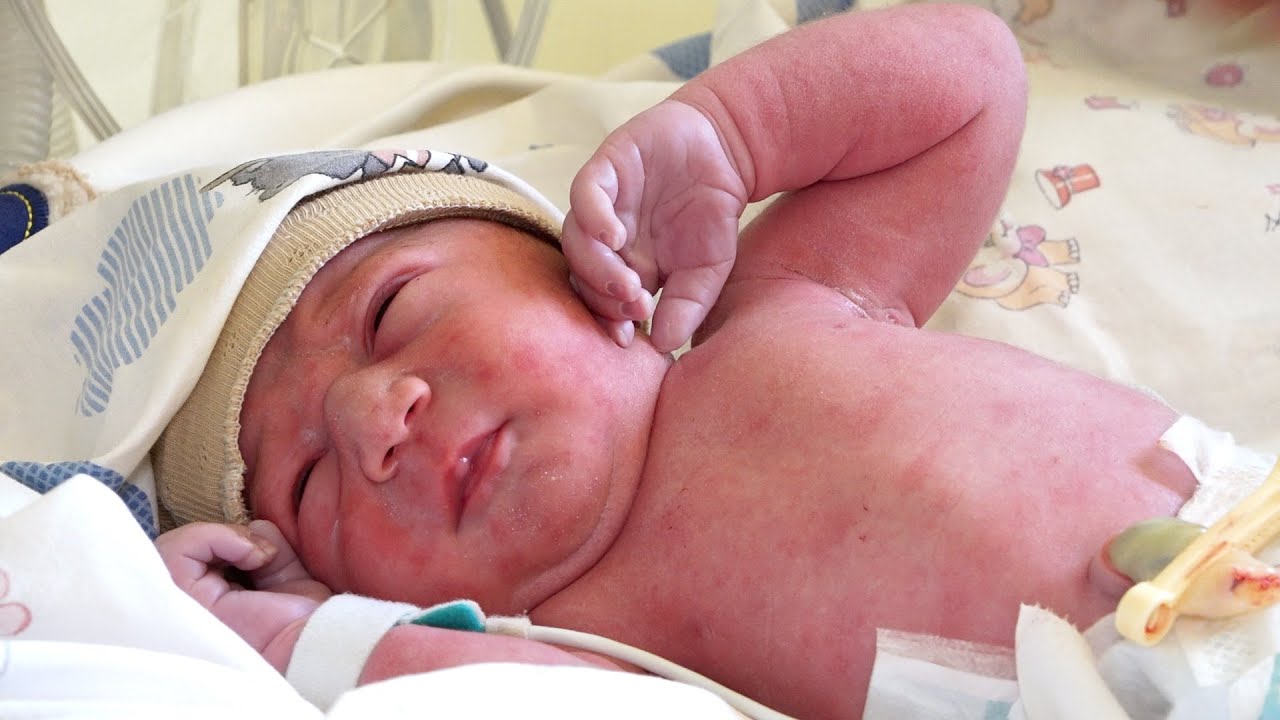 Ռուսաստանը պահպանում է բանակցությունների պատրաստակամությունը՝ պայմանավորված ռազմական նպատակների իրականացմամբ